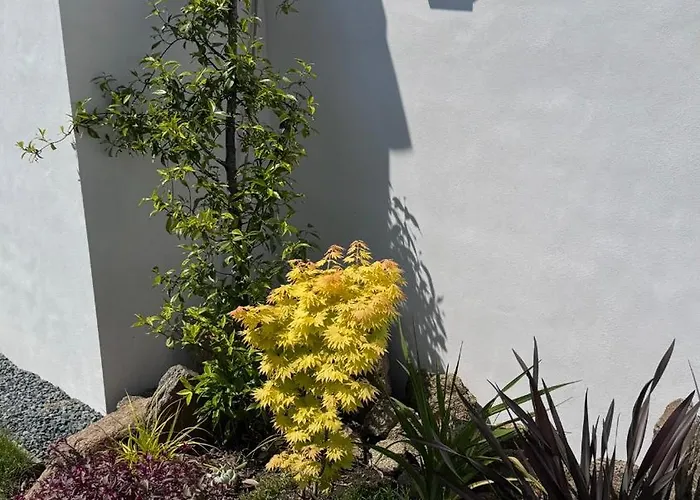 Magnifique Piscine Billard *